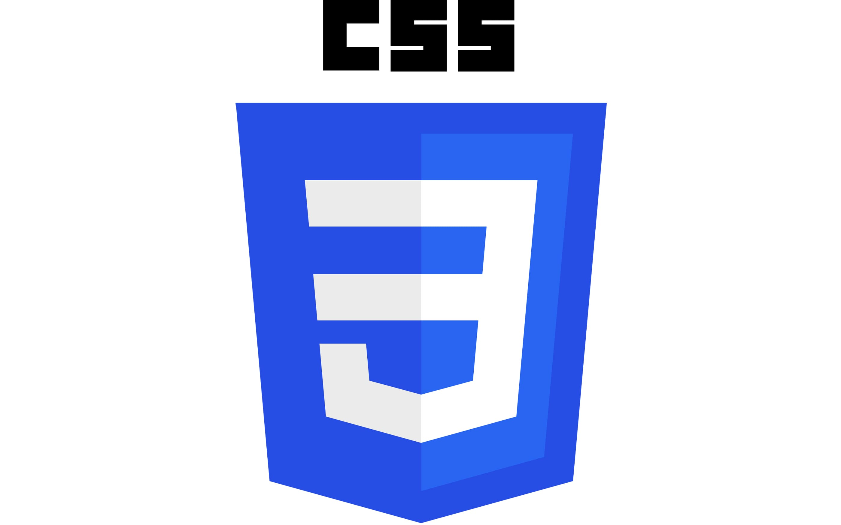 CSS Icon